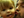 lordvithis @