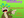 sweatymonkey @