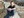 ASchund @