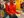 darengirdner @