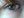 L0rdCanti @
