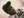 CJRock32 @