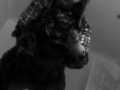 Chris H