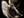 CJ_rhodes1 @