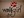 fangdawolf @