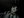 willieward1234 @
