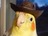 MadMuffin -