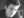 Alec O