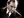 Silverscreen E