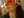 Sam Rider @