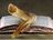 Our Report M... P