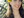 Ravyn H