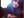 Taryn C