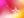 Shelebelle98 @