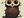 Owl 7