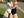 Daina L