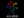 ASLized @